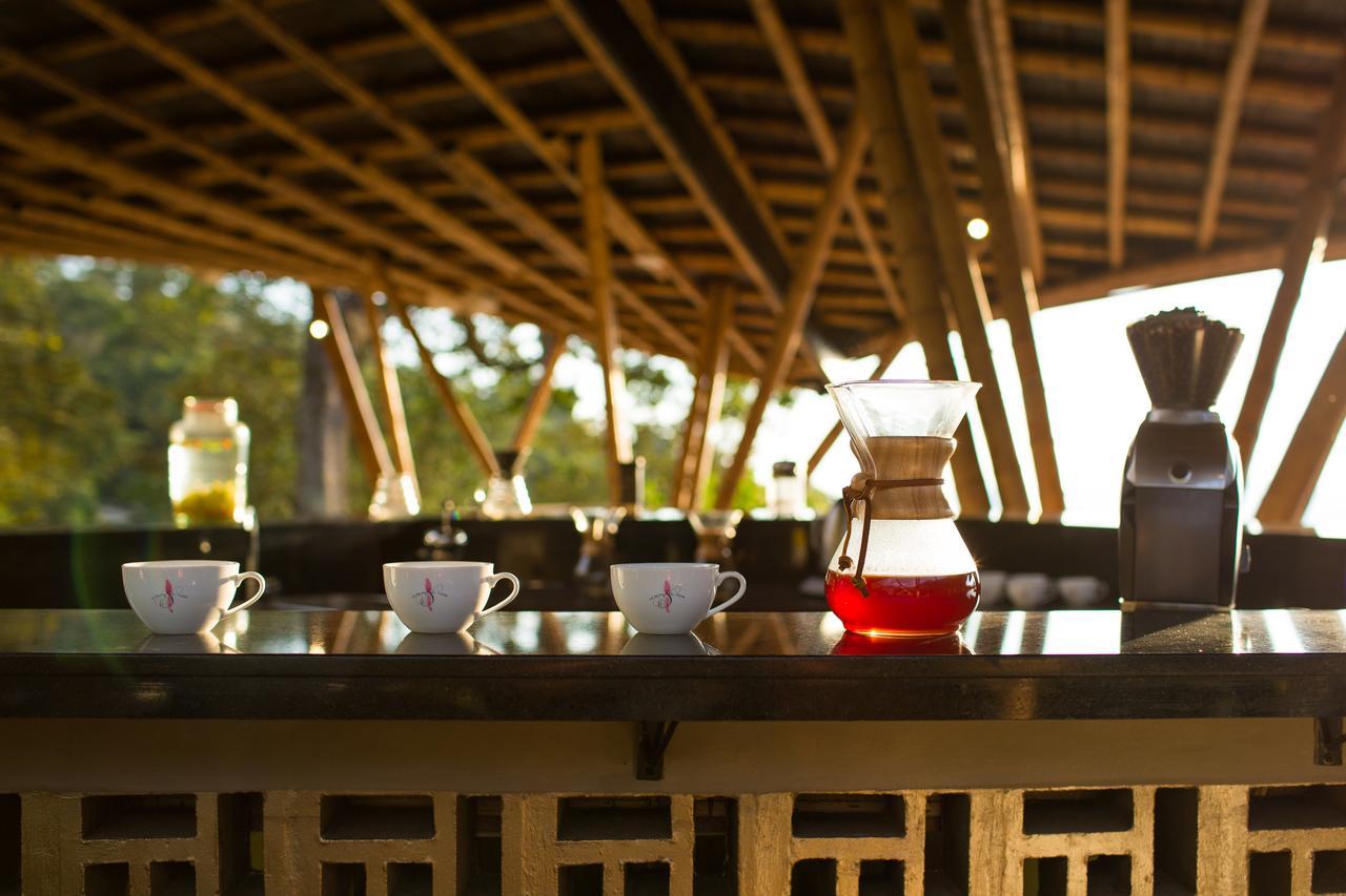 Coffee & Adventure Hotel By La Palma Y El Tucan Zipacon Exterior foto