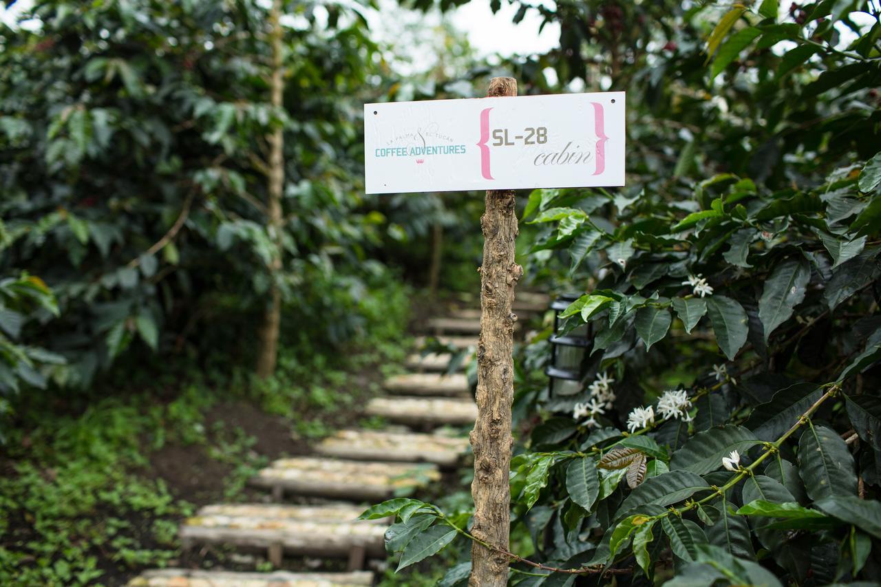 Coffee & Adventure Hotel By La Palma Y El Tucan Zipacon Exterior foto