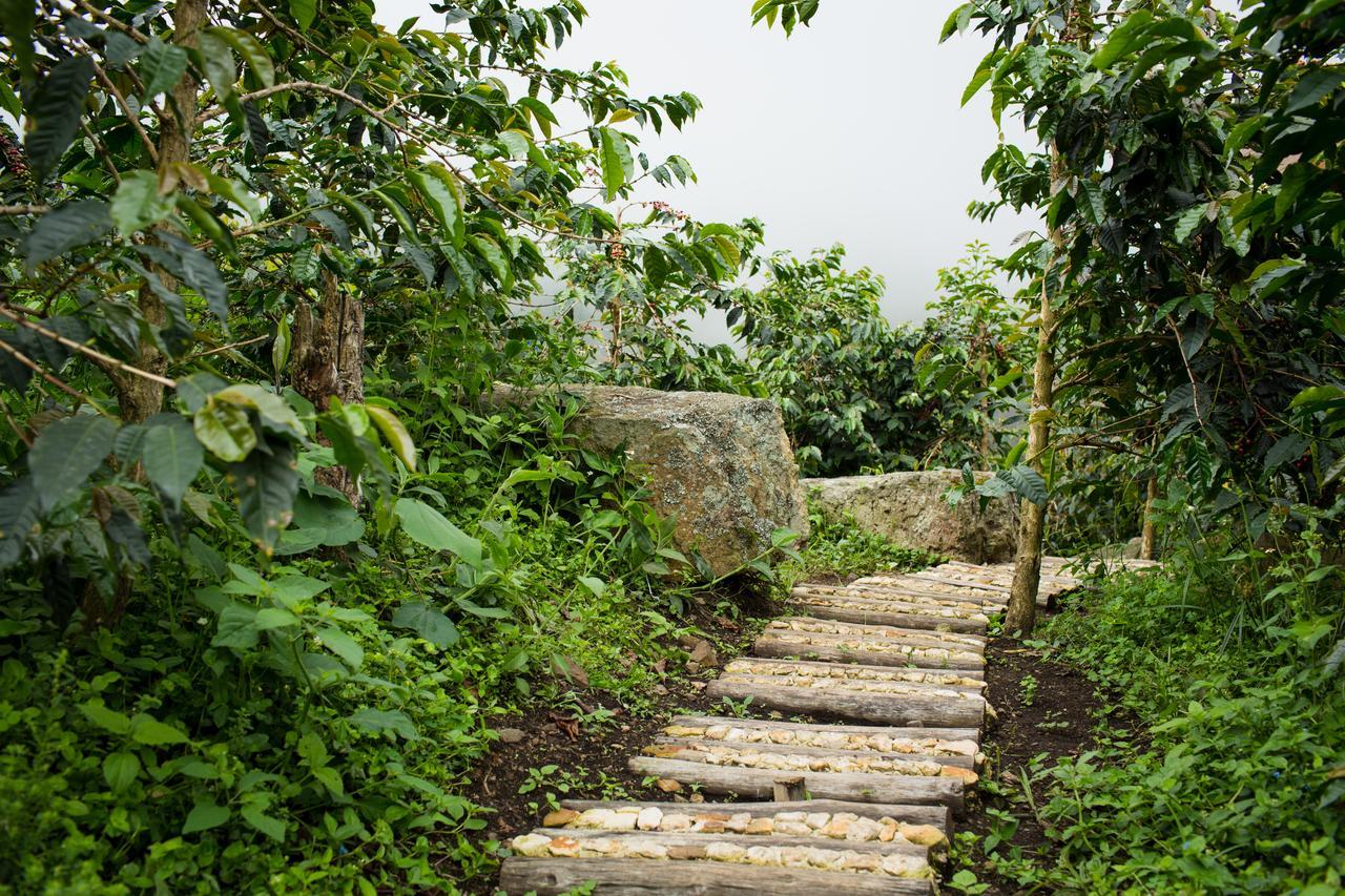 Coffee & Adventure Hotel By La Palma Y El Tucan Zipacon Exterior foto
