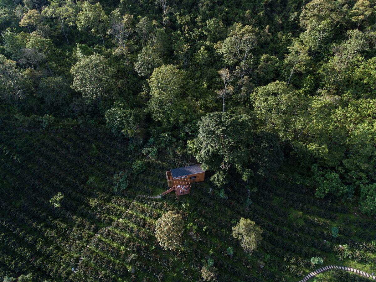 Coffee & Adventure Hotel By La Palma Y El Tucan Zipacon Exterior foto