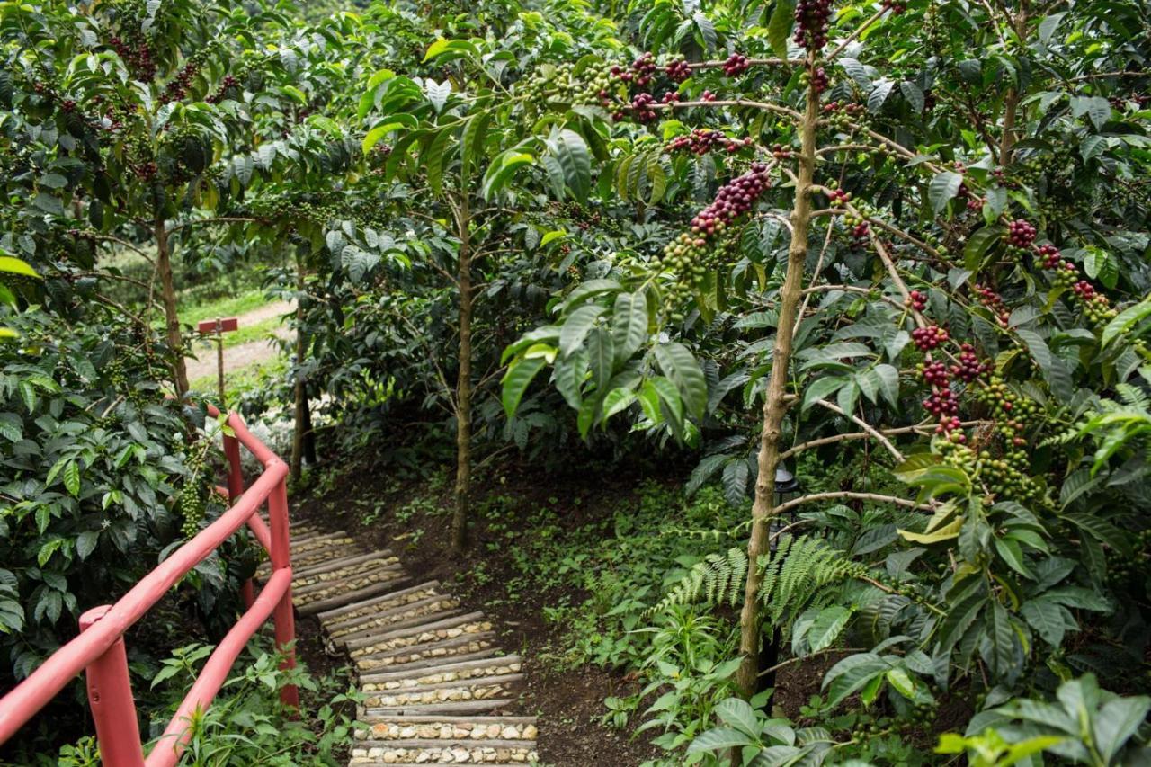 Coffee & Adventure Hotel By La Palma Y El Tucan Zipacon Exterior foto